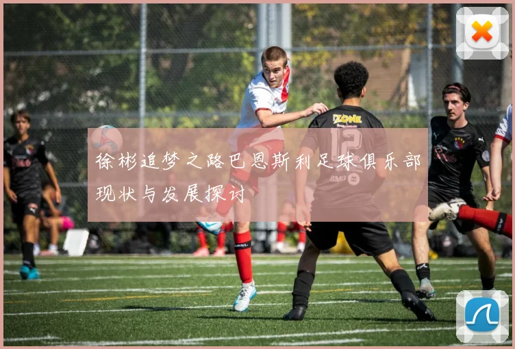 徐彬追梦之路巴恩斯利足球俱乐部现状与发展探讨