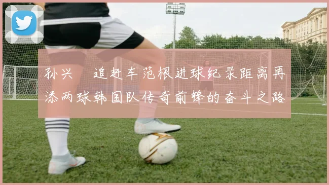 孙兴慜追赶车范根进球纪录距离再添两球韩国队传奇前锋的奋斗之路