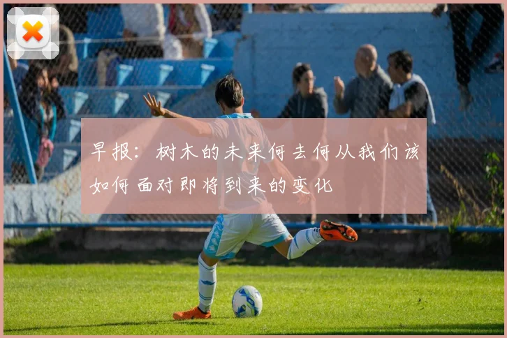 早报：树木的未来何去何从我们该如何面对即将到来的变化