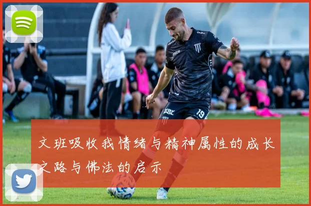 文班吸收我情绪与精神属性的成长之路与佛法的启示