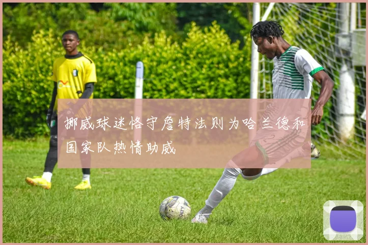 挪威球迷恪守詹特法则为哈兰德和国家队热情助威